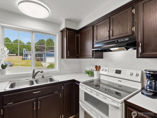 7102 Church Creek Cir NW, Stanwood, WA 98292 - kitchen featuring range with two ovens, under cabinet range hood, and dark brown cabinets
