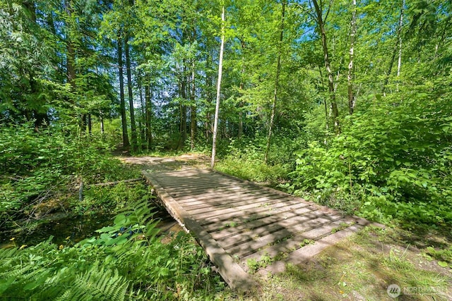 2046 E Smith Rd, Bellingham, WA 98226 - photo 37