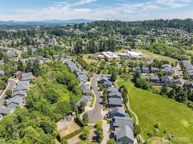 3209 NW 45th Ct, Camas, WA 98607 - photo 39