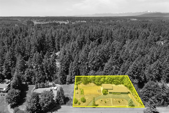 6830 SE Arlington Pl, Port Orchard, WA 98367 - aerial overview of property's location featuring a mountain backdrop and property parcel outlined