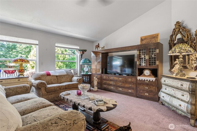 9923 74th Ave E, Puyallup, WA 98373 - living room featuring carpet flooring and lofted ceiling