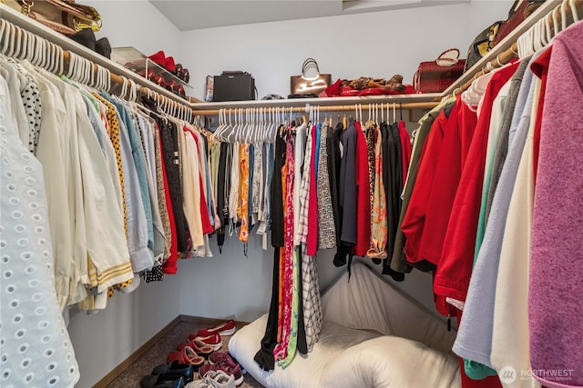 9923 74th Ave E, Puyallup, WA 98373 - walk in closet with carpet floors