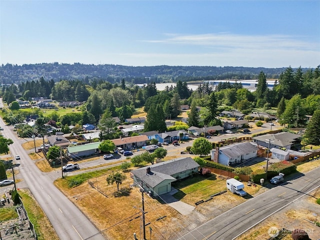 411 15th Ave, Milton, WA 98354 - aerial view of residential area