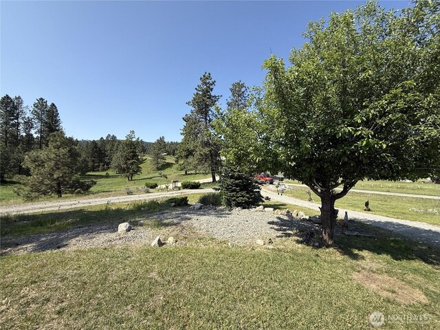 2 Meadow Lark Ln, Republic, WA 99166 - photo 25