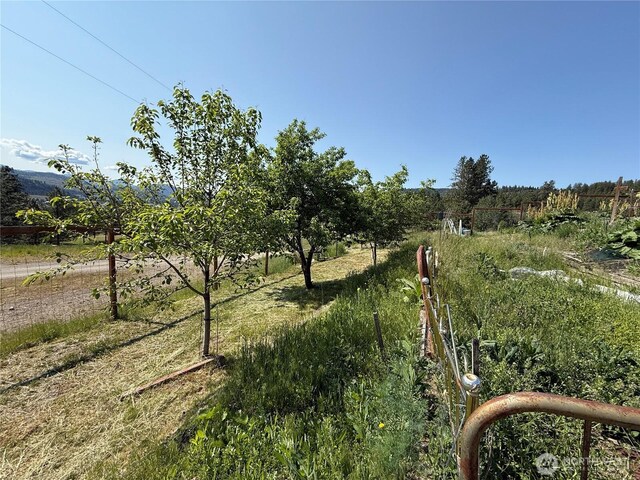 2 Meadow Lark Ln, Republic, WA 99166 - photo 28