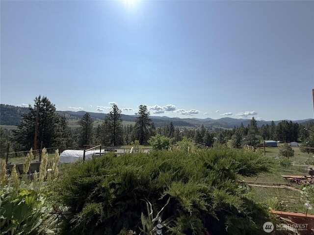 2 Meadow Lark Ln, Republic, WA 99166 - photo 33