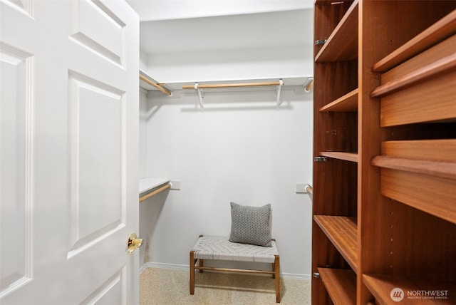 7506 Hawkstone Ave SW, Port Orchard, WA 98367 - view of walk in closet