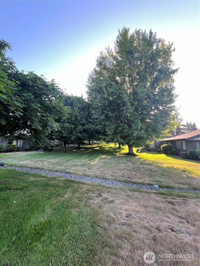 7908 53rd St W, University Place, WA 98467 - view of green lawn