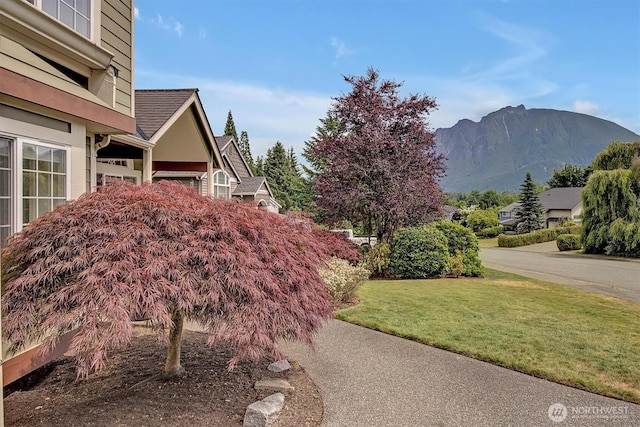 1125 Hemlock Ave SW, North Bend, WA 98045 - view of green lawn with a mountain view