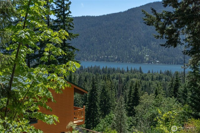 16537 Lakeview Dr, Leavenworth, WA 98826 - mountain view featuring a forest and a large body of water