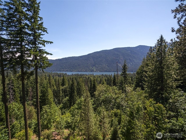 16537 Lakeview Dr, Leavenworth, WA 98826 - view of mountain backdrop featuring a heavily wooded area and a nearby body of water