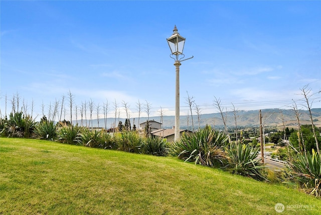 3505 Kimberly Ct, Wenatchee, WA 98801 - view of grassy yard