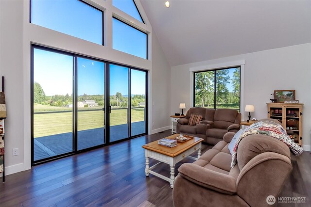 14045 Solberg Rd SE, Yelm, WA 98597 - living area with high vaulted ceiling and dark wood-style flooring