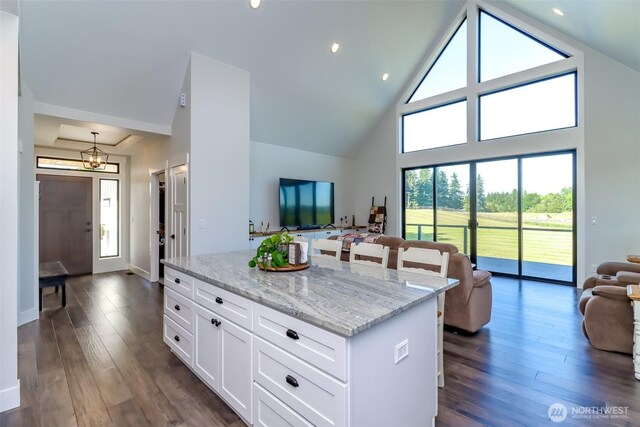 14045 Solberg Rd SE, Yelm, WA 98597 - kitchen featuring open floor plan, high vaulted ceiling, light stone countertops, white cabinets, and dark wood-style floors