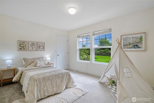 264 Edmonds Ave SE, Renton, WA 98056 - photo 23