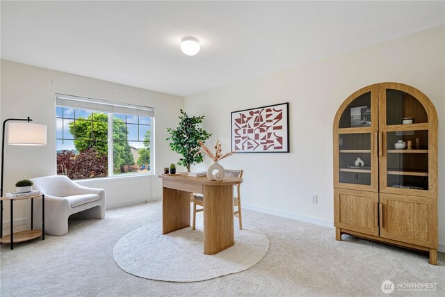 264 Edmonds Ave SE, Renton, WA 98056 - photo 24