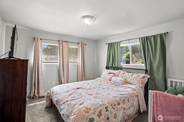 4128 NW 29th St, Bremerton, WA 98312 - photo 9