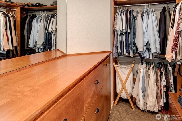 5829 112th Pl NE, Kirkland, WA 98033 - spacious closet with carpet floors
