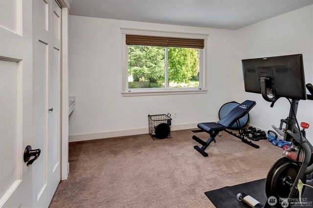 5829 112th Pl NE, Kirkland, WA 98033 - exercise room with carpet flooring and baseboards