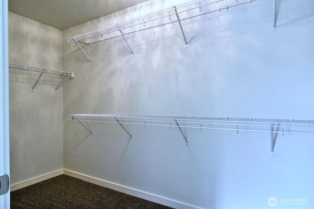 237 SW Oak Rd, Port Orchard, WA 98367 - view of spacious closet