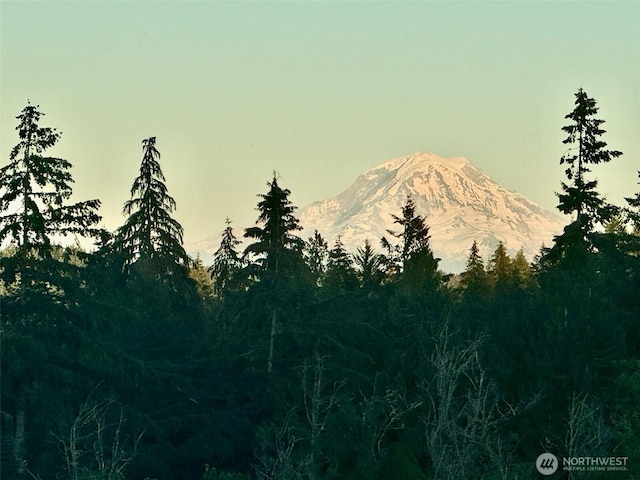 237 SW Oak Rd, Port Orchard, WA 98367 - view of mountain backdrop