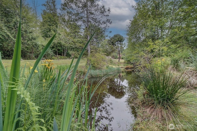 237 SW Oak Rd, Port Orchard, WA 98367 - water view
