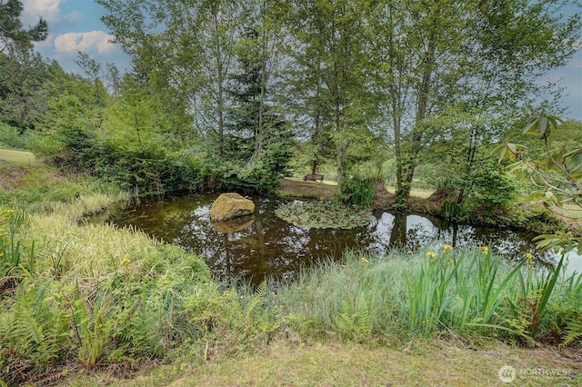 237 SW Oak Rd, Port Orchard, WA 98367 - view of yard