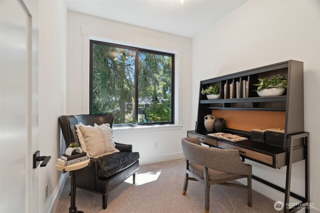 13005 NE 88th St, Kirkland, WA 98033 - home office with carpet flooring and baseboards