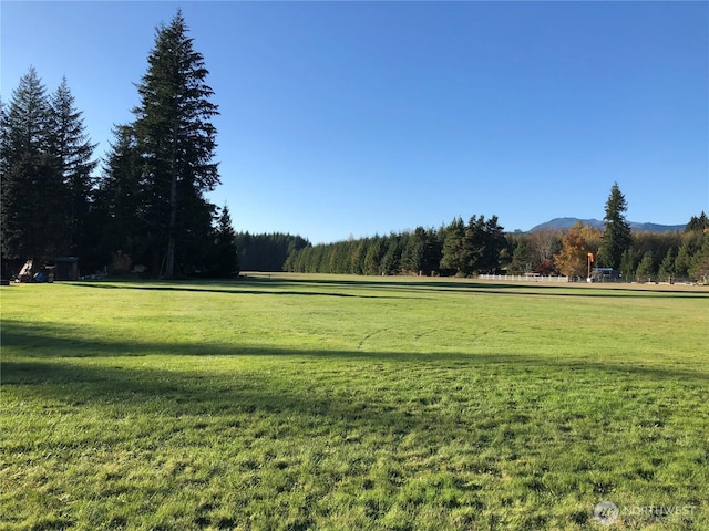 0 Shelton Rd, Randle, WA 98377
