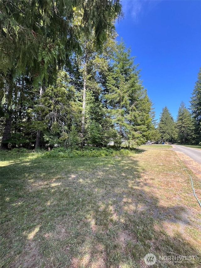 0 Shelton Rd, Randle, WA 98377