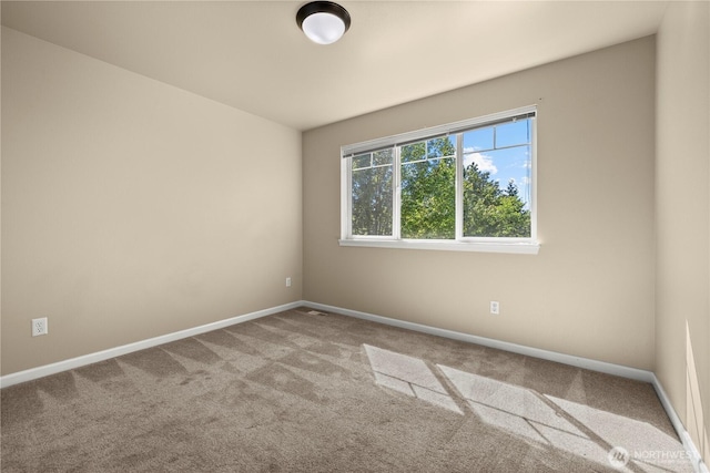 2519 Chateau Dr, Puyallup, WA 98373 - photo 33
