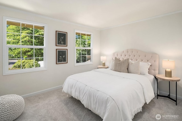 2892 160th Pl NE, Bellevue, WA 98008 - bedroom with carpet, crown molding, and multiple windows