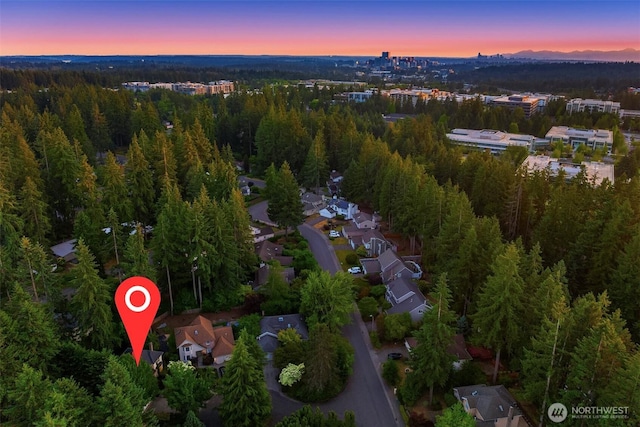 2892 160th Pl NE, Bellevue, WA 98008 - aerial view at dusk of a view of trees