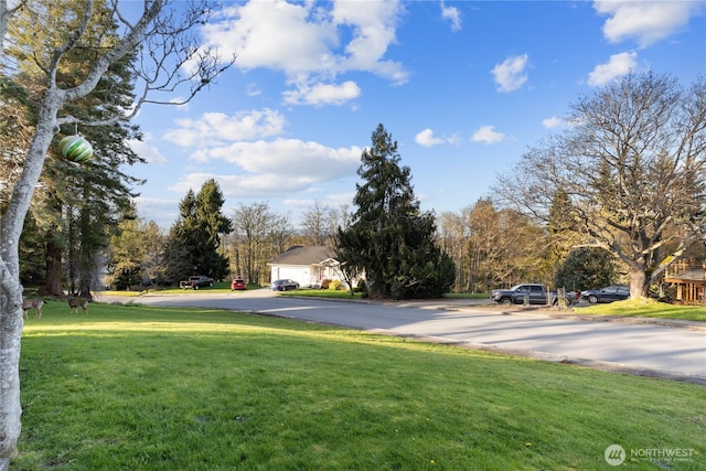 2104 E Ave, Anacortes, WA 98221 - view of grassy yard