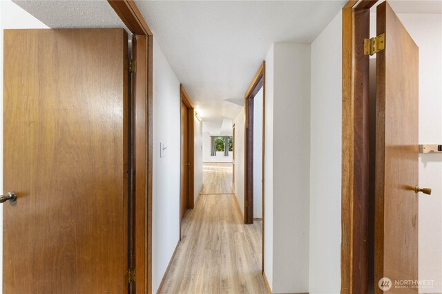 2104 E Ave, Anacortes, WA 98221 - hall with light wood-style floors