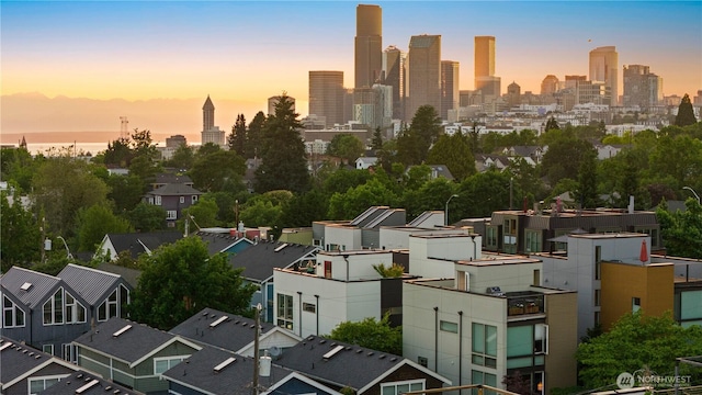 1115 24th Ave S, Seattle, WA 98144 - view of city skyline