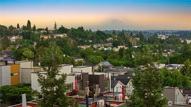 1115 24th Ave S, Seattle, WA 98144 - aerial view at dusk of a residential view