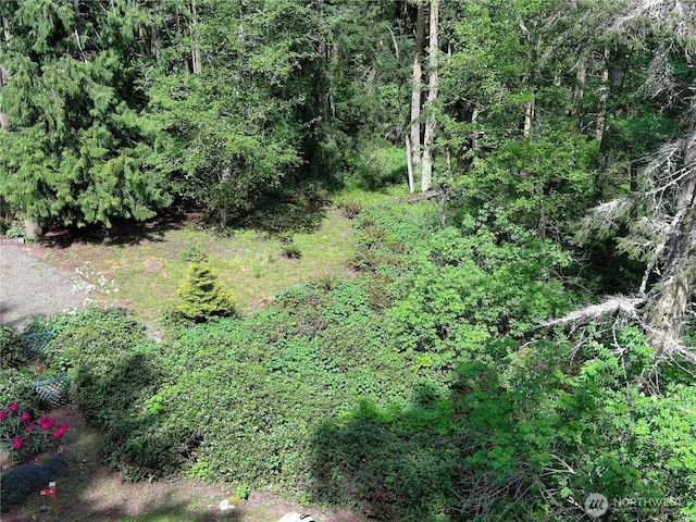 0 Buckhorn Place, Port Townsend, WA 98368 - photo 2