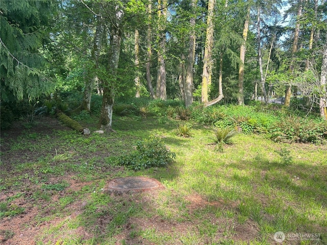 0 Buckhorn Place, Port Townsend, WA 98368 - photo 3