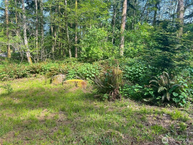 0 Buckhorn Place, Port Townsend, WA 98368 - photo 4