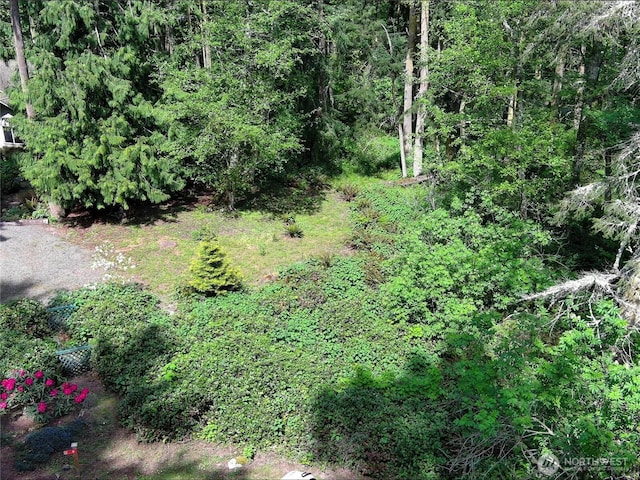 0 Buckhorn Place, Port Townsend, WA 98368 - photo 7
