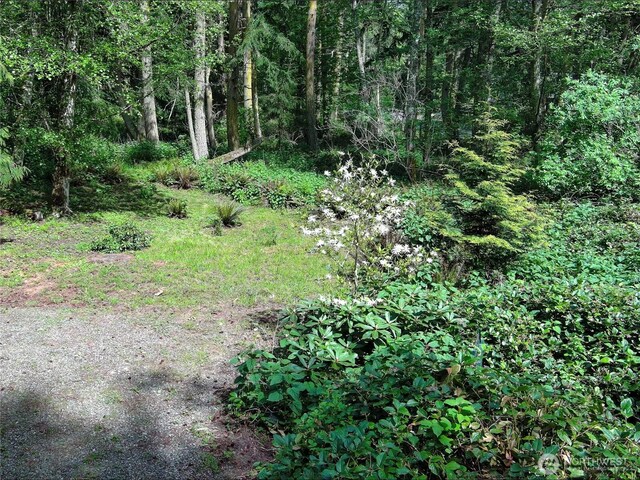 0 Buckhorn Place, Port Townsend, WA 98368 - photo 8