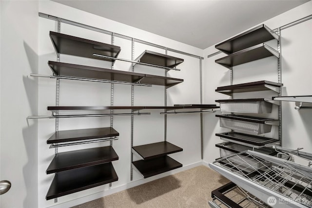 31 157th Ln SE, Bothell, WA 98012 - walk in closet featuring carpet