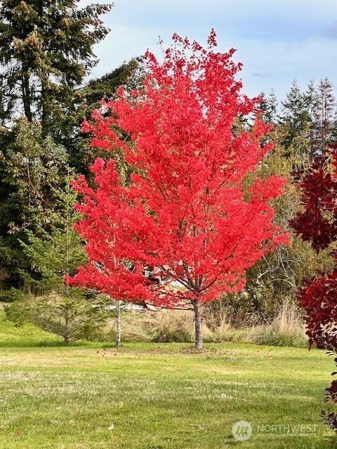 93 Old Schoolhouse Rd, Sequim, WA 98382 - view of property's community