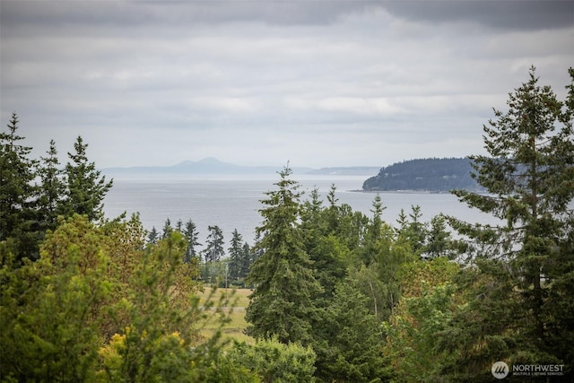 93 Old Schoolhouse Rd, Sequim, WA 98382 - water view with a mountain backdrop