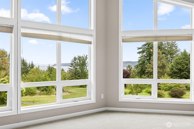 93 Old Schoolhouse Rd, Sequim, WA 98382 - detailed view of carpet floors and a mountain backdrop