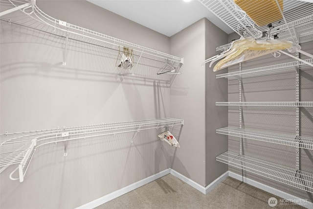93 Old Schoolhouse Rd, Sequim, WA 98382 - walk in closet with carpet floors