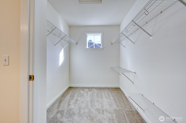 4121 248th Ct SE Unit 45, Sammamish, WA 98029 - spacious closet featuring carpet