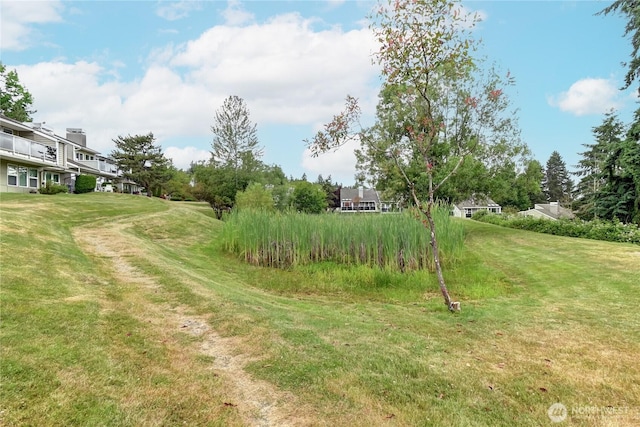 15732 NE 70th Ct, Redmond, WA 98052 - view of green lawn