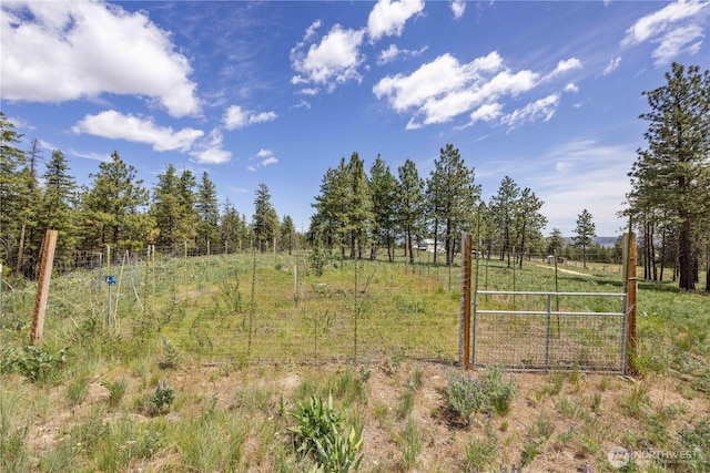 493 Bill Oules Rd, Chelan, WA 98816